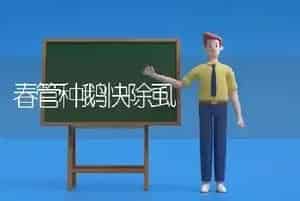 春管种鹅快除虱