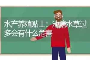 水产养殖贴士：池塘水草过多会有什么危害