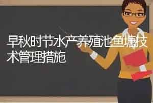 早秋时节水产养殖池鱼塘技术管理措施