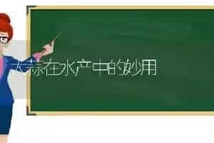 大蒜在水产中的妙用