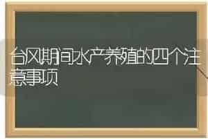 台风期间水产养殖的四个注意事项