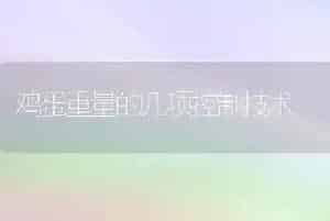 鸡蛋重量的几项控制技术