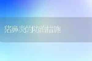 猪鼻炎的防治措施
