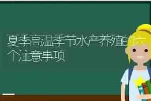 夏季高温季节水产养殖的六个注意事项