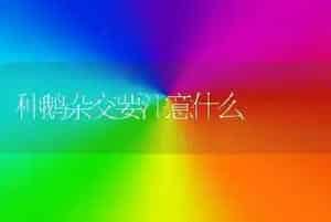 种鹅杂交要注意什么