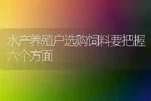 水产养殖户选购饲料要把握六个方面