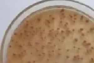 水产养殖过程中六种常见微生态制剂简介