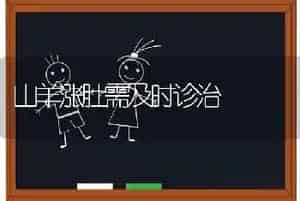 山羊涨肚需及时诊治