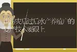 洪涝灾后过后水产养殖户的复产技术要跟上