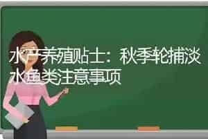 水产养殖贴士：秋季轮捕淡水鱼类注意事项