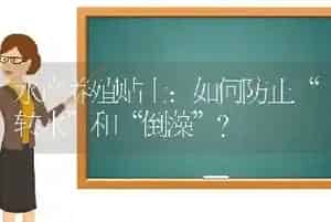 水产养殖贴士：如何防止“转水”和“倒藻”?