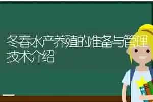 冬春水产养殖的准备与管理技术介绍
