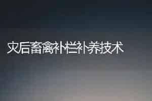 灾后畜禽补栏补养技术