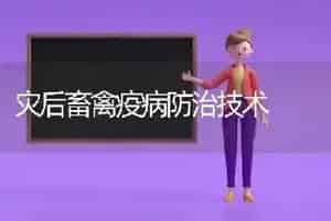 灾后畜禽疫病防治技术
