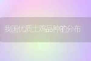 我国优质土鸡品种的分布