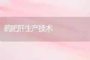 鹅肥肝生产技术