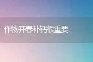 春季养鹅的饲养方法