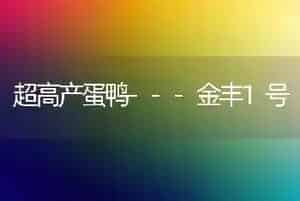 超高产蛋鸭---金丰1号