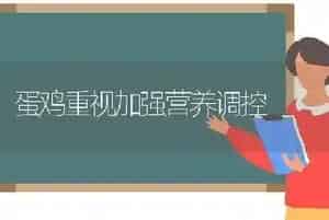 蛋鸡重视加强营养调控