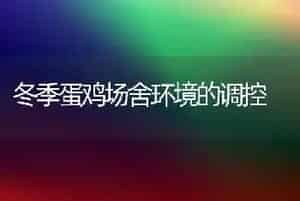冬季蛋鸡场舍环境的调控