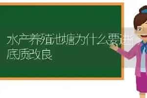 水产养殖池塘为什么要进行底质改良
