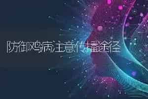 防御鸡病注意传播途径
