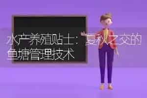水产养殖贴士：夏秋之交的鱼塘管理技术