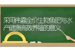 采用伟嘉全价生物鱼肥与水产健康高效养殖的意义