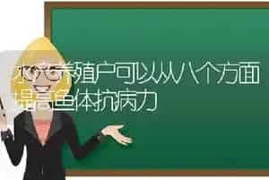 水产养殖户可以从八个方面提高鱼体抗病力