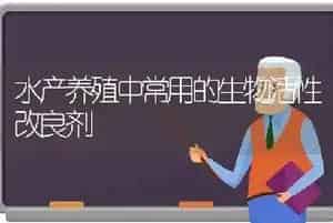 水产养殖中常用的生物活性改良剂