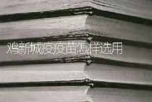 鸡新城疫疫苗怎样选用