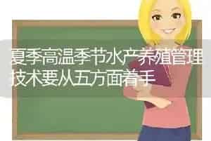 夏季高温季节水产养殖管理技术要从五方面着手