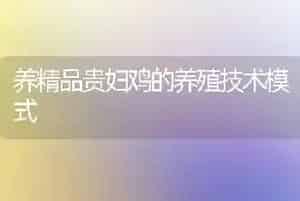 养精品贵妇鸡的养殖技术模式