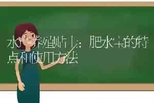 水产养殖贴士：肥水宝的特点和使用方法