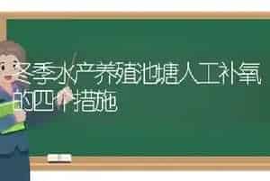 冬季水产养殖池塘人工补氧的四个措施