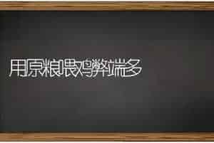 用原粮喂鸡弊端多