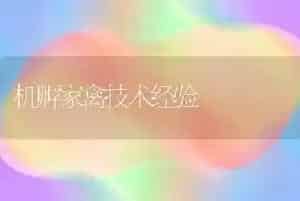 机孵家禽技术经验