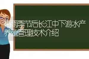 梅雨季节后长江中下游水产养殖管理技术介绍