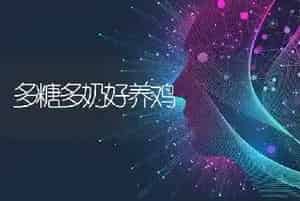 多糖多奶好养鸡