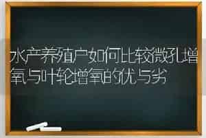 水产养殖户如何比较微孔增氧与叶轮增氧的优与劣