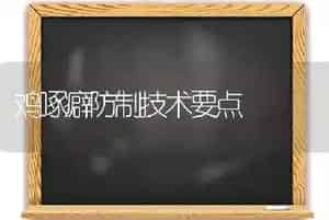 鸡啄癖防制技术要点