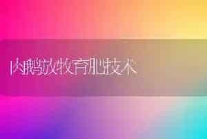 肉鹅放牧育肥技术