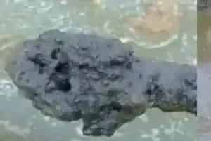 改底在水产养殖中的重要性和改底方法