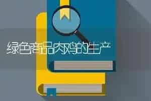 绿色商品肉鸡的生产
