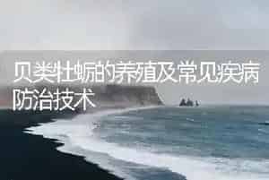 贝类牡蛎的养殖及常见疾病防治技术