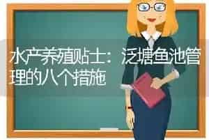 水产养殖贴士：泛塘鱼池管理的八个措施