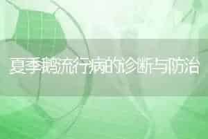 夏季鹅流行病的诊断与防治