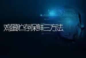 鸡蛋贮存保鲜三方法