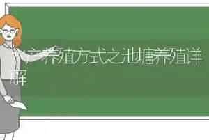 水产养殖方式之池塘养殖详解