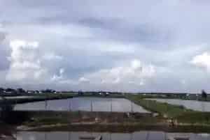 水产养殖排换水管理法则及其注意事项